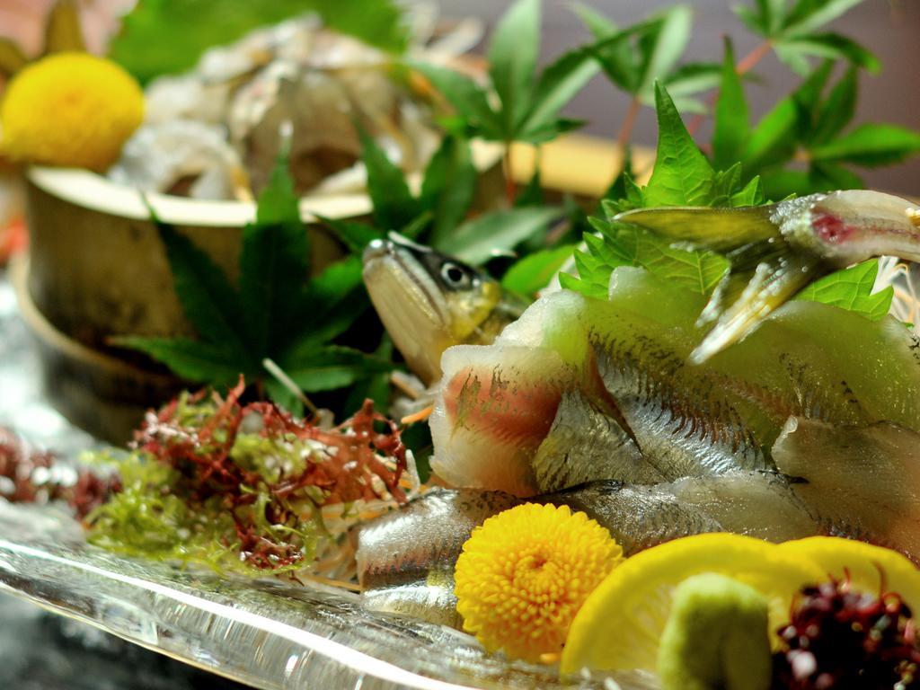 Hitoyoshi Ryokan Εξωτερικό φωτογραφία